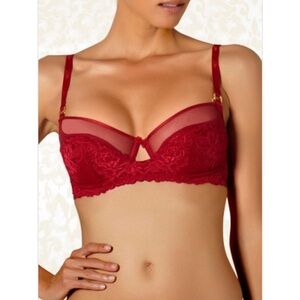 The Intimate Britney Spears Cherry 3/4 Padded Bra 34B and Small Hipster